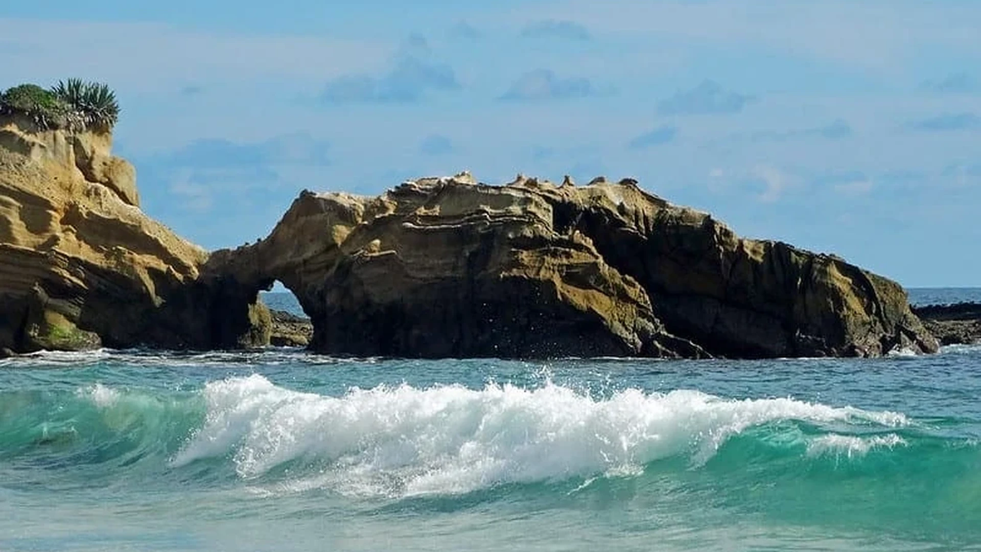 Memahami dan Mengimplementasikan Adam Optimizer dari Nol - jasa machine learning joki machine learning